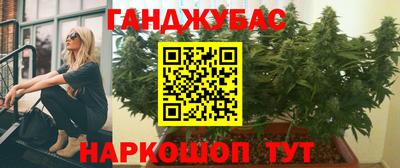 гидра Новодвинск