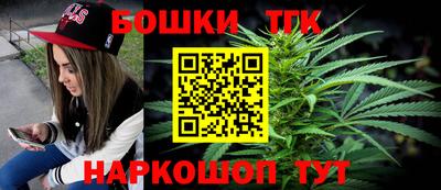 гидра Новодвинск