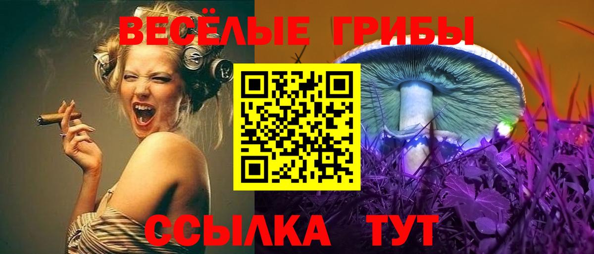 Сургут  Галлюциногенные грибы ЛСД  Вход с VPN 