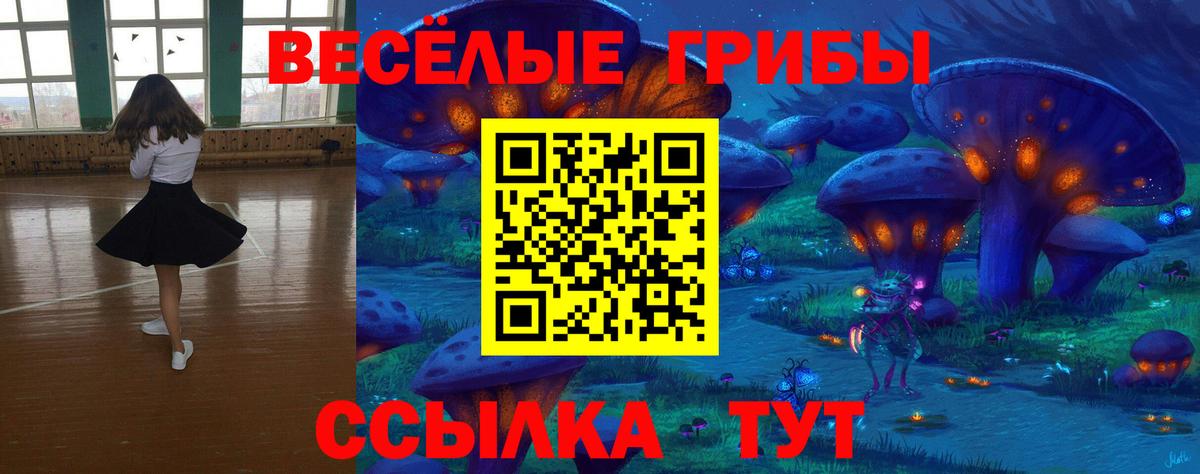 Галлюциногенные грибы прущие грибы Сургут