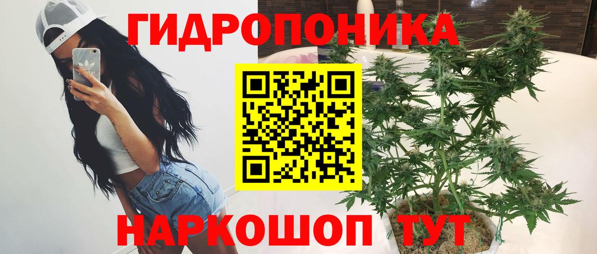 Канабис VHQ Сургут